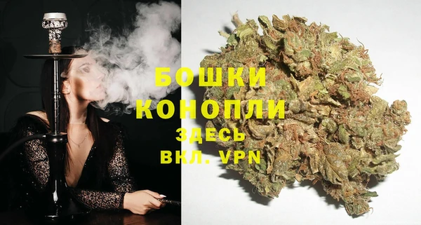 дмт Корсаков