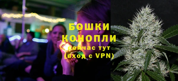 стафф Козловка