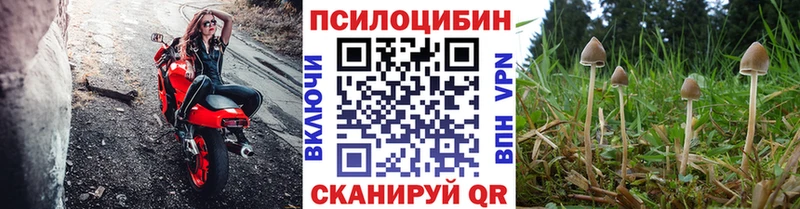 Псилоцибиновые грибы ЛСД  Кедровый 