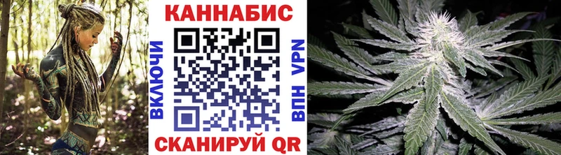 Марихуана конопля Кедровый